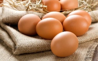 Konsumsi Telur dari Sumber yang Aman dan Berkelanjutan